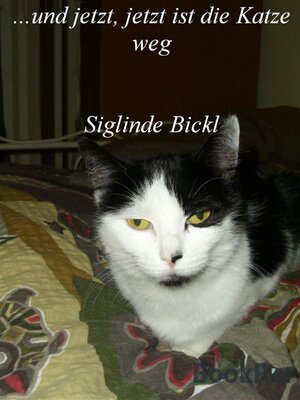 cover image of Und jetzt jetzt ist die Katze weg